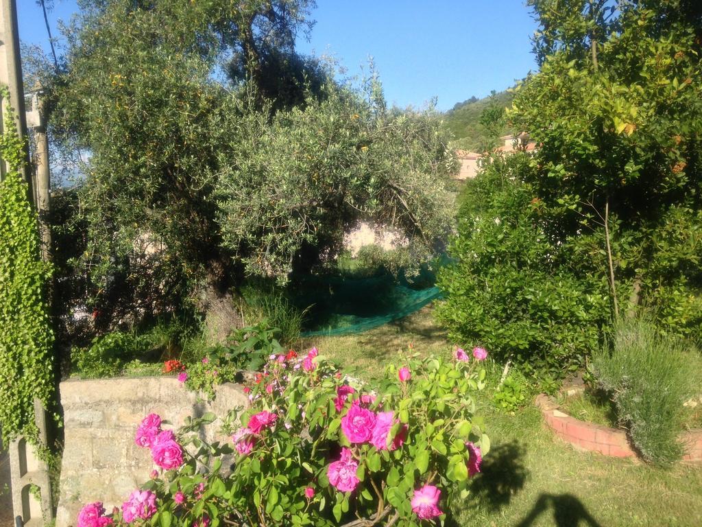 Les Calanques Hotel